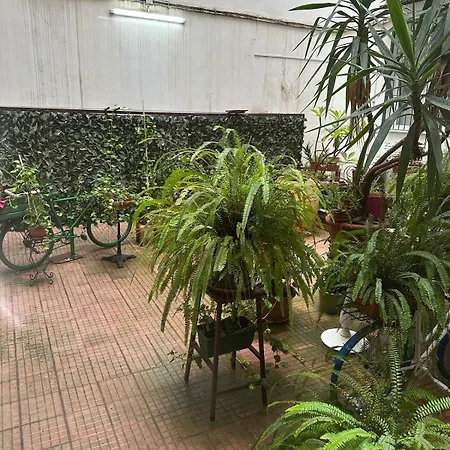 Isole Siciliane Appartement Palermo